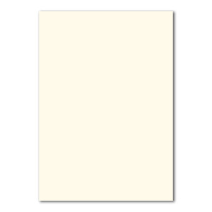 100 DIN A4 Papierbogen Planobogen - Naturweiß (Weiß) - 160 g/m² - 21 x 29,7 cm - Bastelbogen Ton-Papier Fotokarton Bastel-Papier Ton-Karton - FarbenFroh