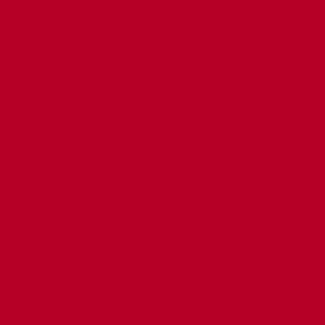 50x Faltkarten SET mit Brief-Umschlägen und Einlege-Blätter - Rosen-Rot (Rot) - DIN Lang - 10,5 x 21 cm - FarbenFroh by GUSTAV NEUSER®